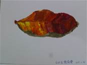 縮圖：
