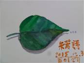 縮圖：