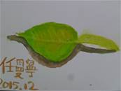 縮圖：
