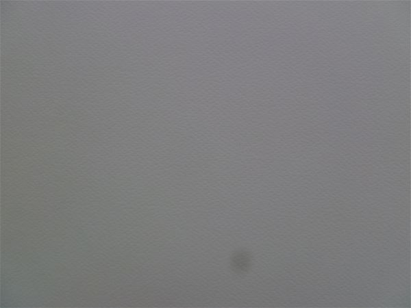 放大圖：1/4請假