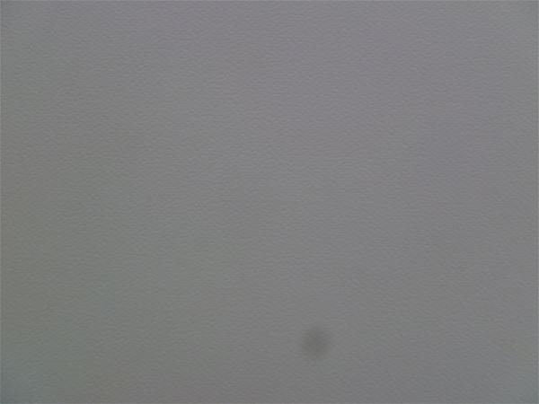 放大圖：1/4請假