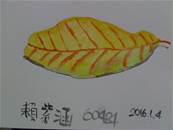 縮圖：