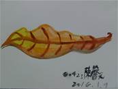 縮圖：