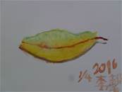 縮圖：