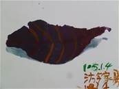縮圖：