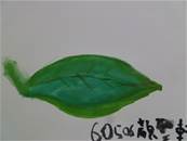縮圖：