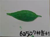 縮圖：