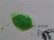 縮圖：