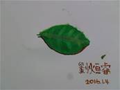 縮圖：