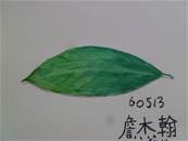 縮圖：
