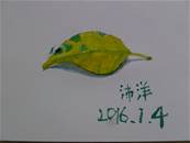 縮圖：