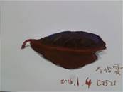 縮圖：