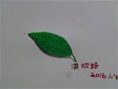 縮圖：
