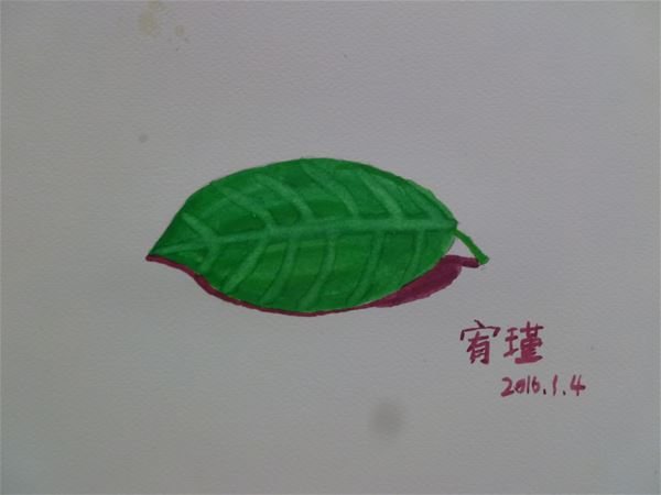 放大圖：