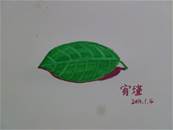 縮圖：