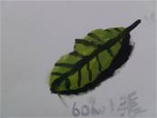 縮圖：