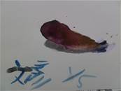 縮圖：