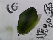 縮圖：
