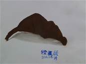 縮圖：