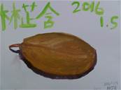 縮圖：