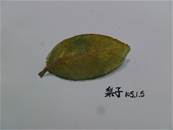 縮圖：