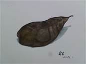 縮圖：