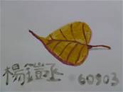縮圖：