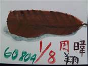 縮圖：