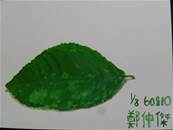 縮圖：