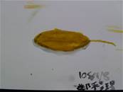 縮圖：