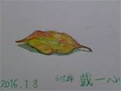 縮圖：