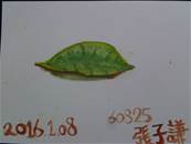 縮圖：