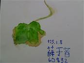 縮圖：