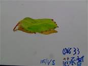 縮圖：