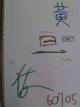放大圖：