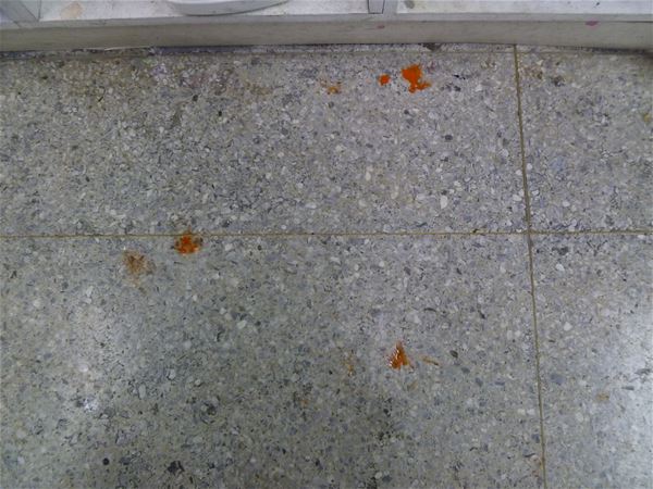 放大圖：未編組的水槽前方地面留下的水彩痕跡......