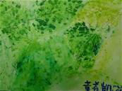 縮圖：