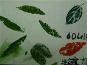 縮圖：