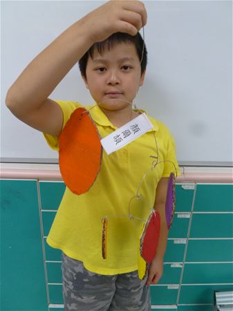 放大圖：