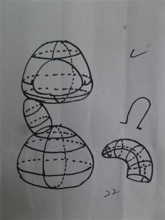 放大圖：