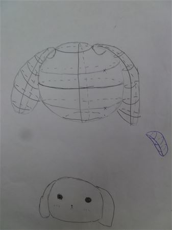放大圖：
