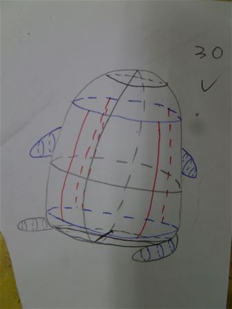 放大圖：