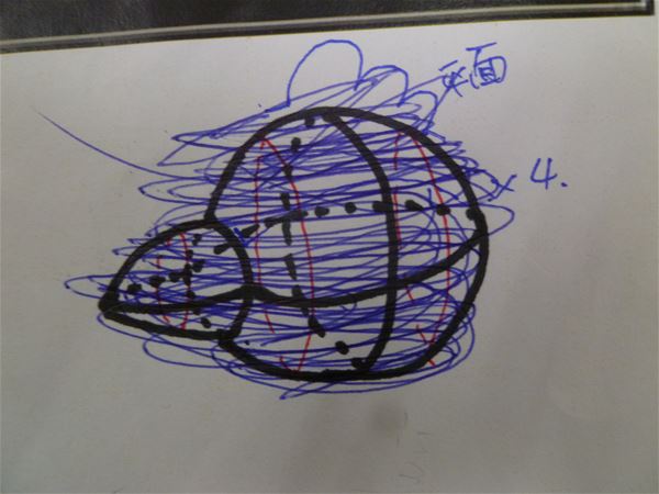 放大圖：