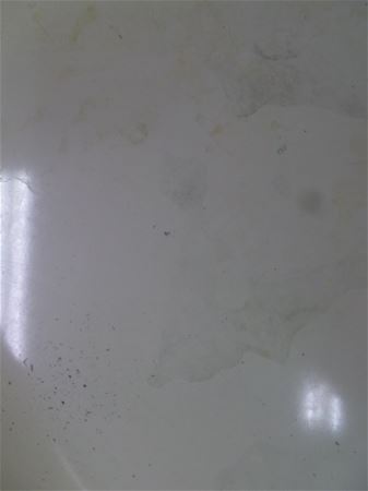放大圖：4號12/23請假
