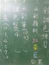 縮圖：