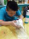 縮圖：