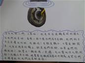 縮圖：
