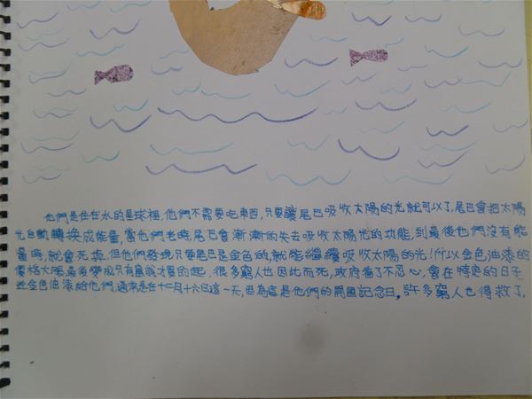 放大圖：