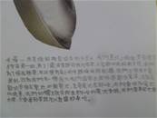 縮圖：