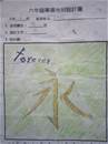 縮圖：